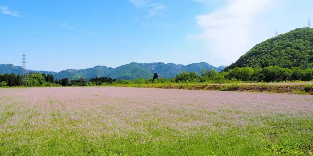Tarufu Plateau