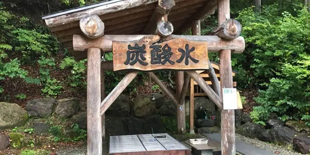 Oshio Natural Sparkling Water
