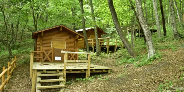 Katsurao Forest Park Morimori Land