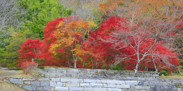 Katsurao Daijin Yashiki Ruins Park