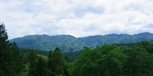 Mount Choju and Mount Tarobo