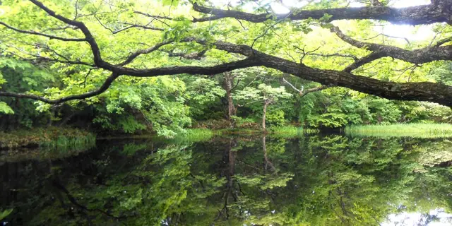 Heifukunuma Pond