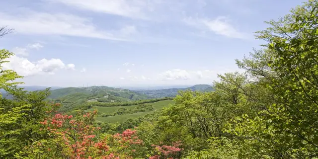 Takatsuka Highlands