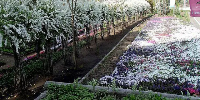 Open Garden Ai no Hanazono