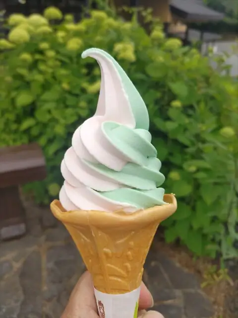Goshikinuma Cafe