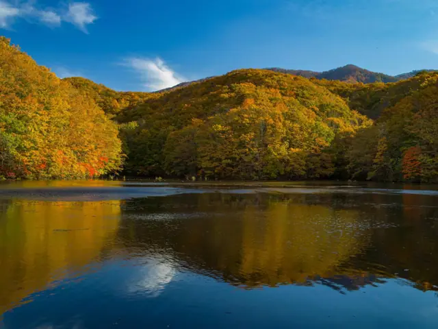 Magarisawa Pond