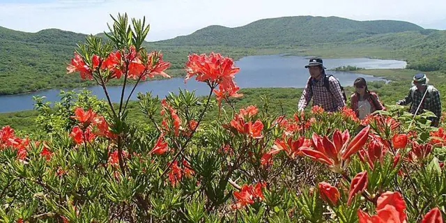 Mount Oguni