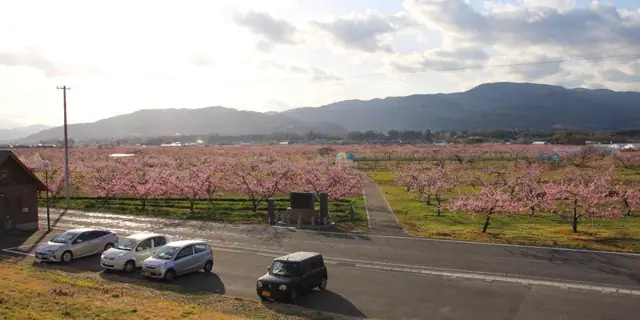 Momo no Sato Pocket Park