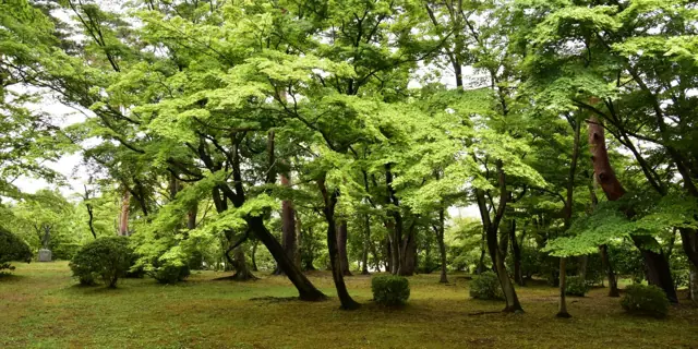 Jinya no Mori Park