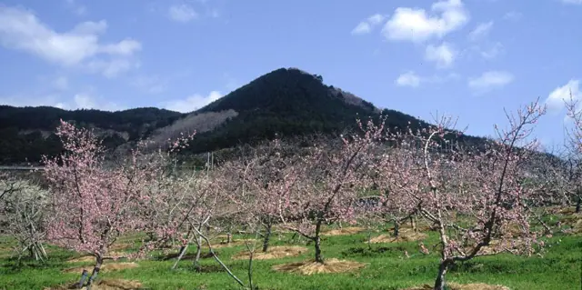 Mt. Atsukashi