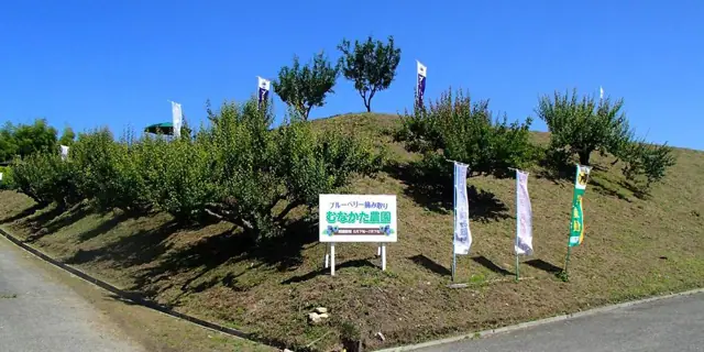 Munakata Farm