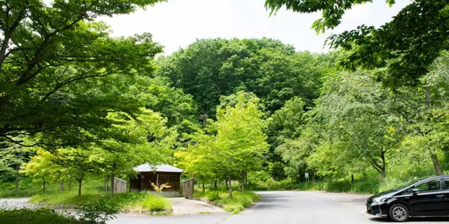 Mukaiyama Forest Park
