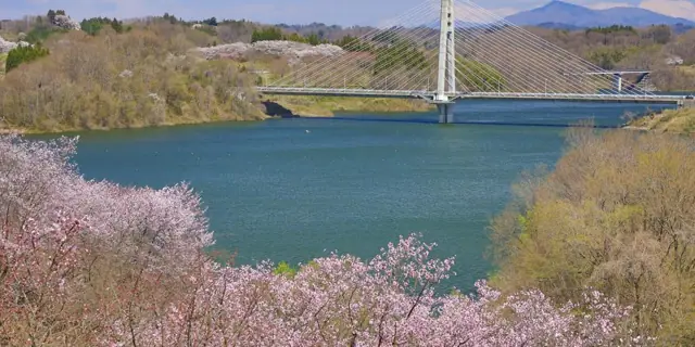Sakura Park