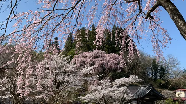 Fukujuji Temple