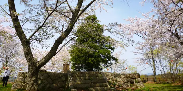 Miharu Castle Ruins (Maizuru Castle)