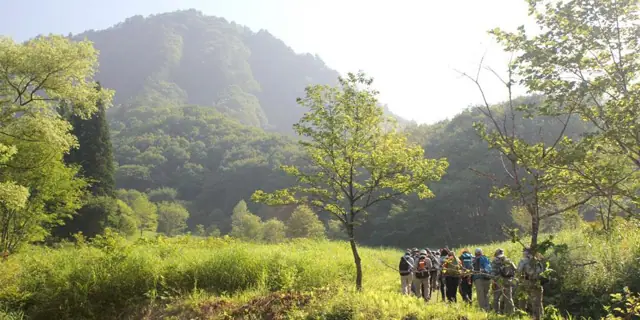 Mount Karakura