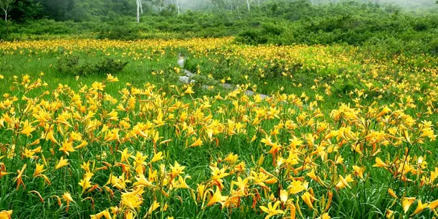 Komado Wetlands (Minamiaizu)