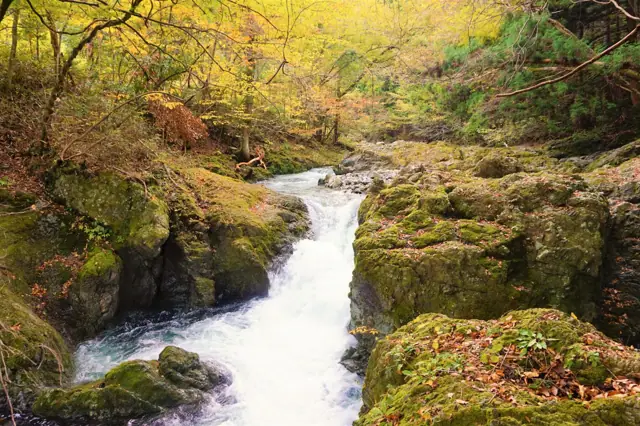 Kisabara Gorge