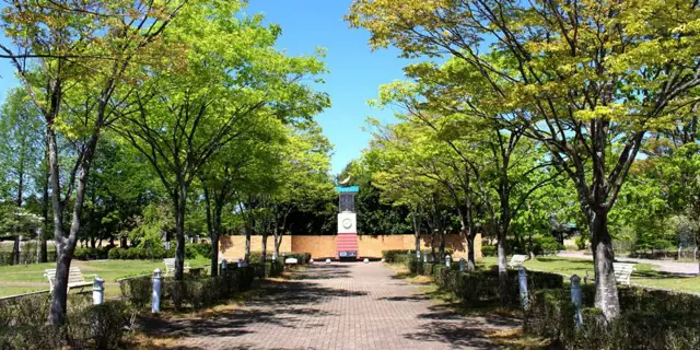 Dream Park Nakajima