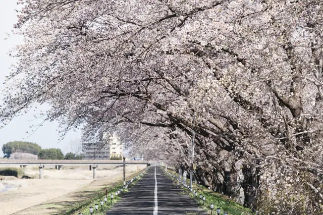 Ukedo River Line