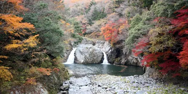 Autumn Leaves of the Kido River