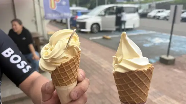 Gelato Nature