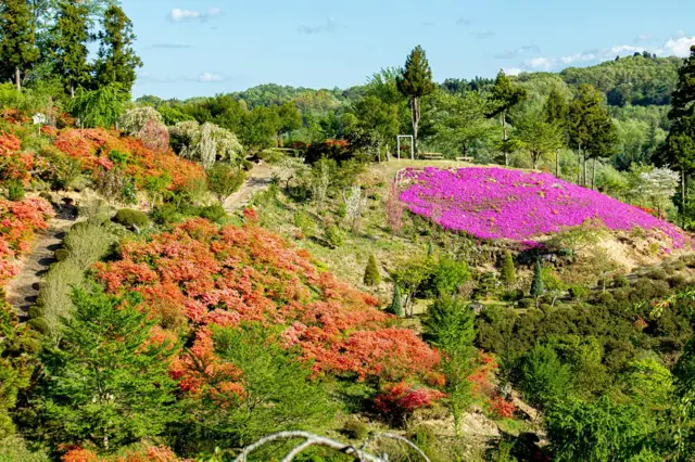 Satsukiyama Park