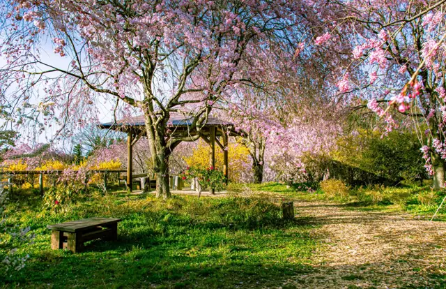 Muto Flower Park