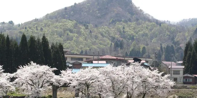 Mount Sugari