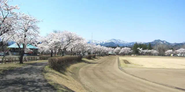 Sayuri Park