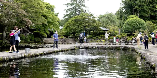 Masutsuri Park (Hayashi Fish Farm)