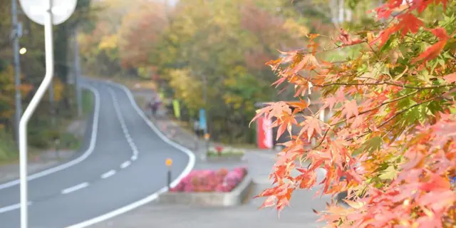 Shirakawa Kashi Plateau, Nikko National Park