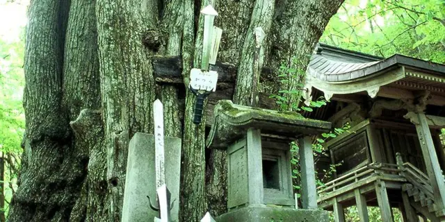 Tsurugi Katsura