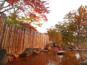 Miyamaso Motoyu Open-Air Bath