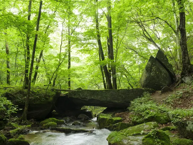 Tengu Bridge