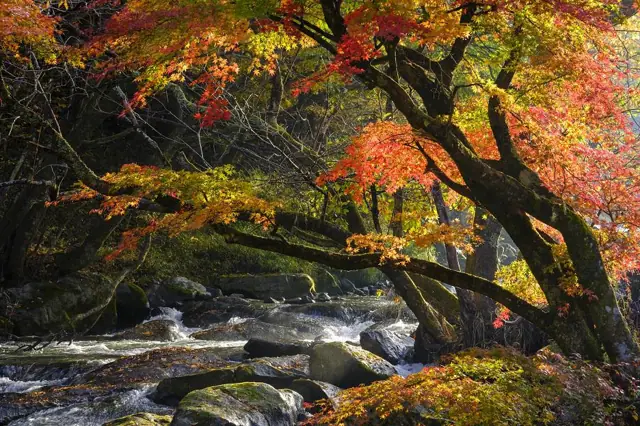 Kowataki Rapids
