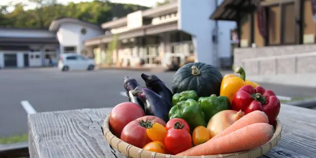 Samegawa Farm Products Center Temamekan