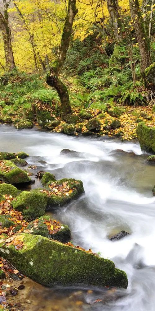 Onogawa Gorge