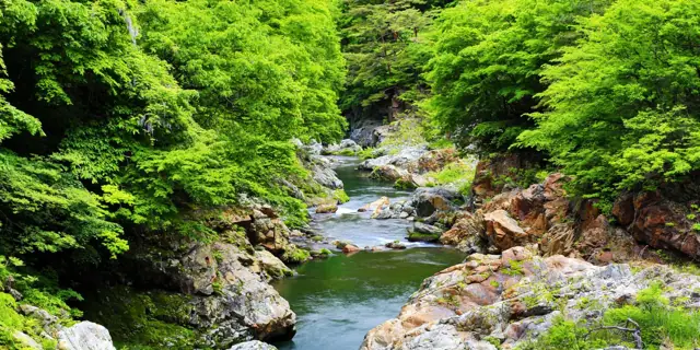 Tsurunuma River Gorge