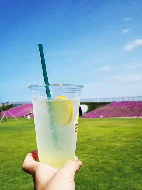 Shinchi Lemonade Stand