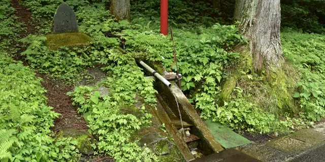 Ippai Shimizu Spring