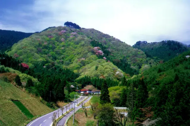 Mount Karo