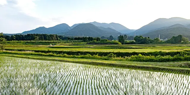 Mount Gontakura