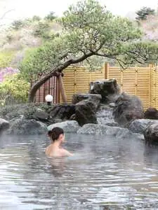 Shirakawa Onsen Bentenso