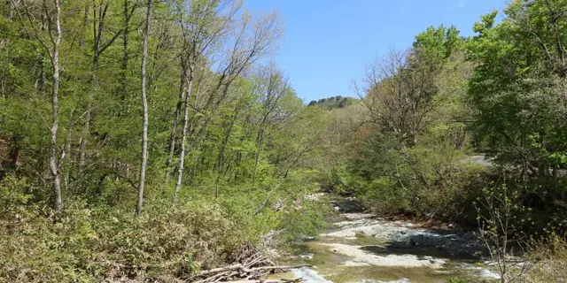 Tamagawa Gorge