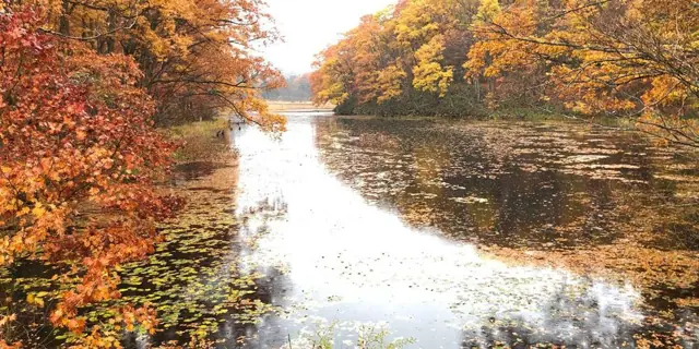 Yanohara Wetland