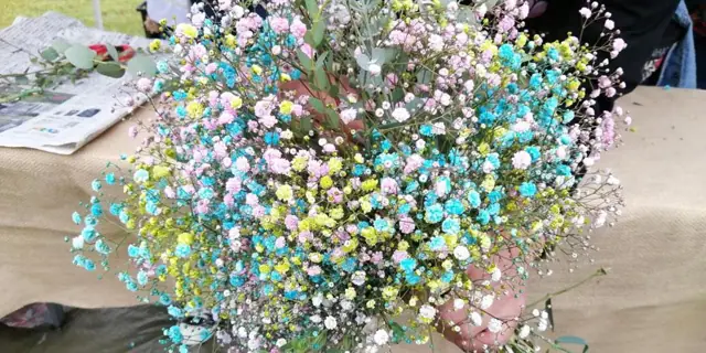 Baby's Breath
