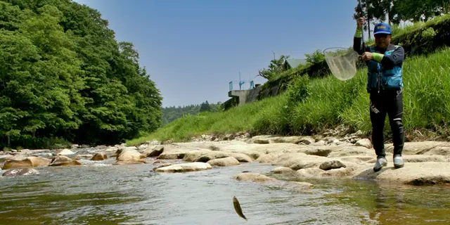 Mountain Stream Fishing