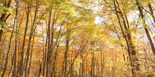 Mount Hakase