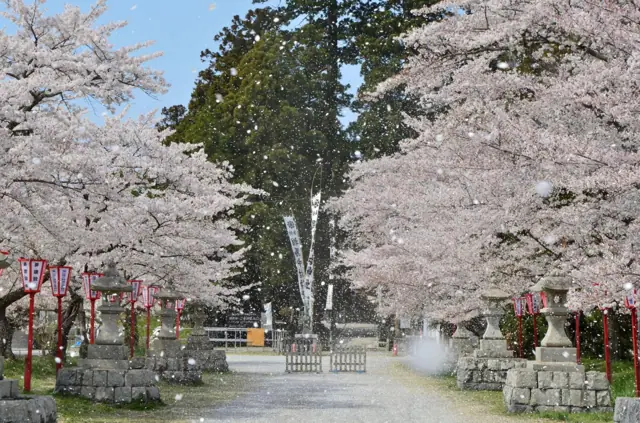 Baryo Park (Nakamura Castle Ruins)